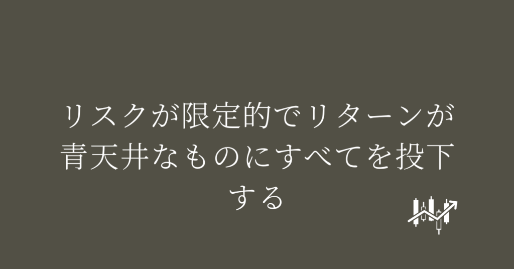 リスクが限定的でリターンが青天井なものにすべてを投下する